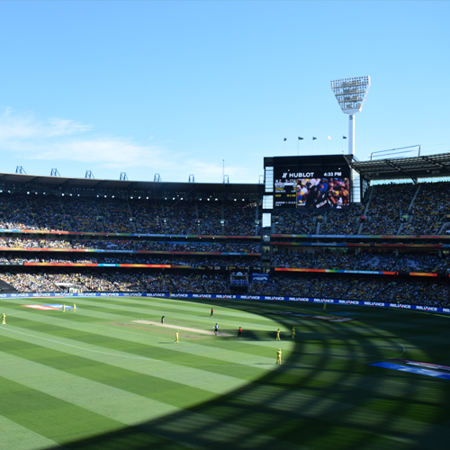 cricket